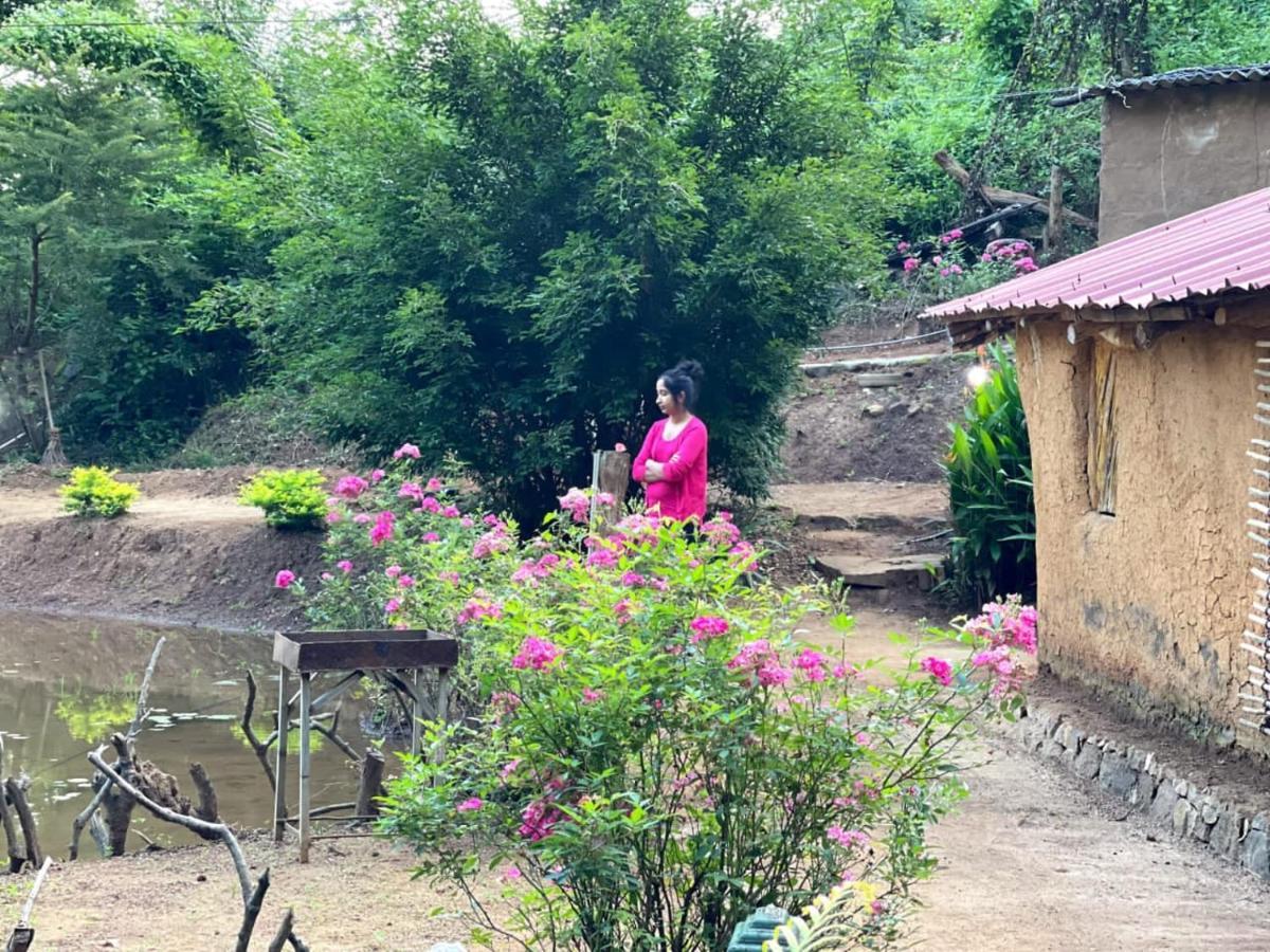 Eco Lodge Meemure & Adventure Park Mimure Esterno foto