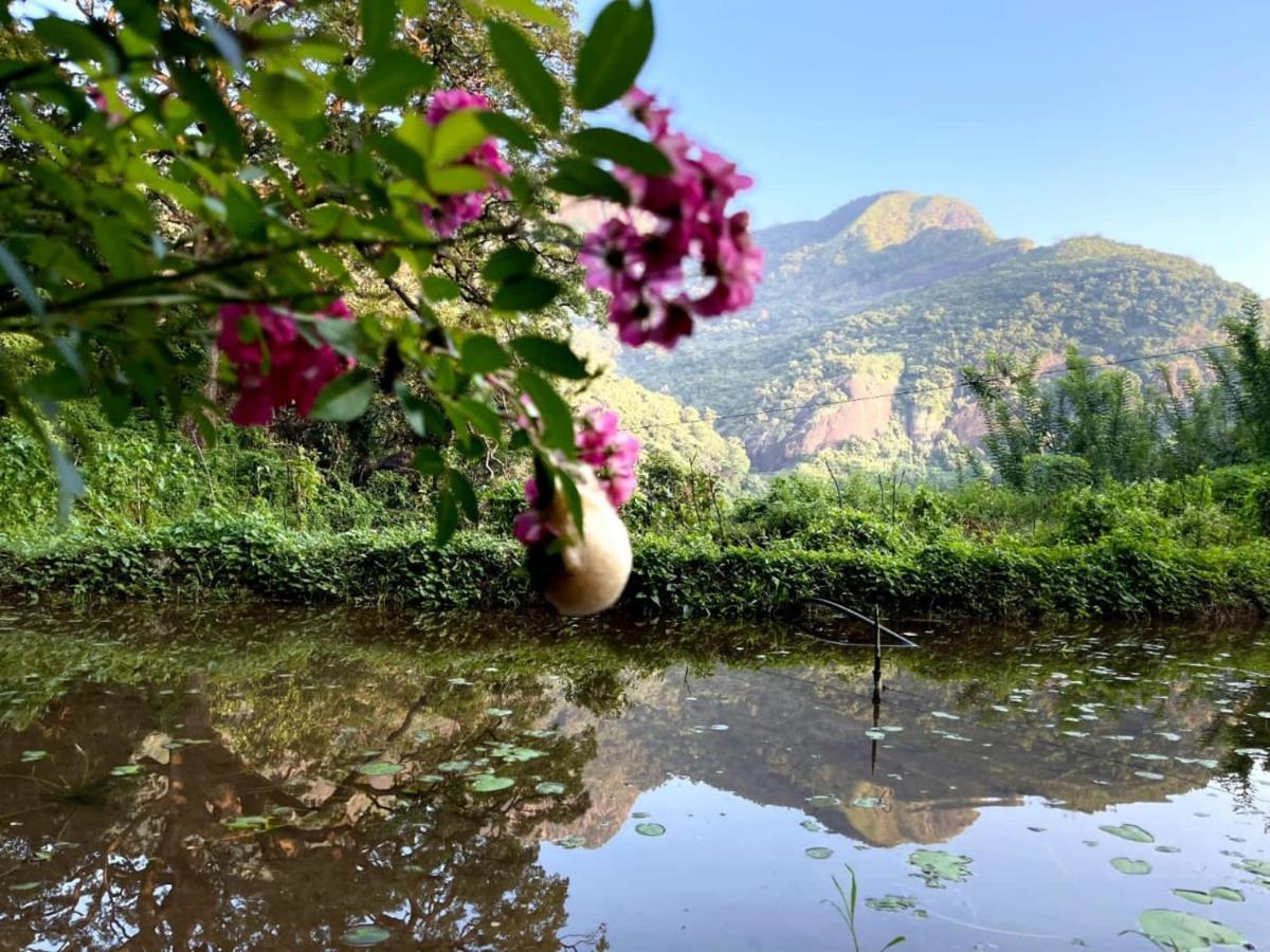 Eco Lodge Meemure & Adventure Park Mimure Esterno foto