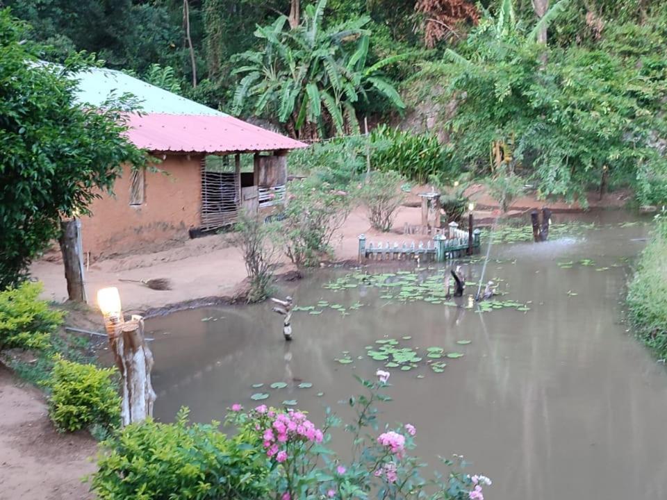 Eco Lodge Meemure & Adventure Park Mimure Esterno foto