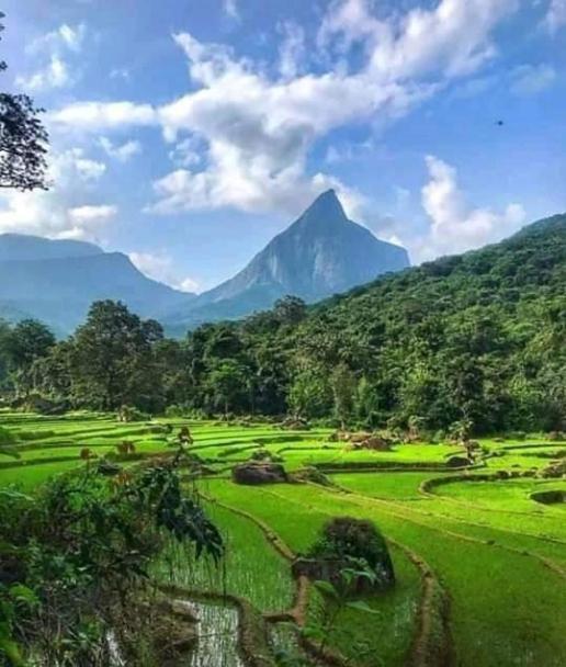 Eco Lodge Meemure & Adventure Park Mimure Esterno foto