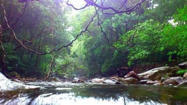 Eco Lodge Meemure & Adventure Park Mimure Esterno foto